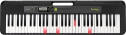 Casio Casiotone LK-S250 61 Tuşlu Org