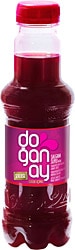 Doğanay Acısız 300 ml Şalgam Suyu