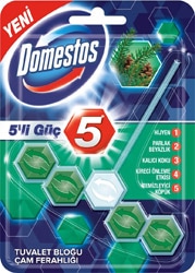 Domestos Wc Blok 5'li Güç Çam Ferahlığı