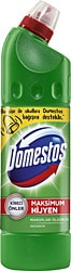 Domestos Dağ Esintisi Çamaşır Suyu 750 ml