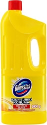 Domestos Limon Ferahlığı Çamaşır Suyu 2 kg