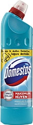 Domestos Okaliptus Ferahlığı Çamaşır Suyu 750 ml