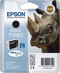 Epson T1001 Siyah Kartuş