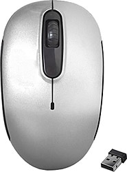 Everest SMW-666 Wireless Optik Mouse
