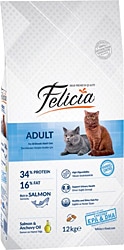 Felicia Low Grain HypoAllergenic Somonlu 12 kg Yetişkin Kuru Kedi Maması