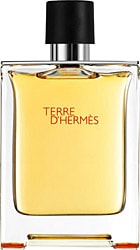 Hermes Terre D'Hermes EDT 100 ml Erkek Parfüm