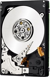 HP 300 GB 781514-003 Sunucu Sabit Disk