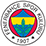Fenerbahçe Kadın Sweatshirt