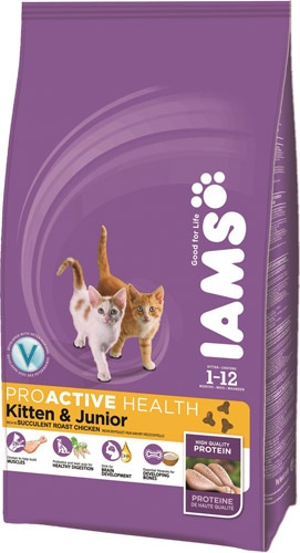 Iams Kitten And igxhaviz Junior