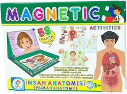 Laço Kids Manyetik insan Anatomisi Aktivite 58 Parça