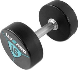 Livepro LP8000 16 kg Premium Poliüretan Dambıl
