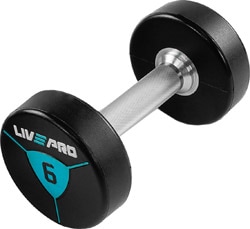 Livepro LP8000 6 kg Premium Poliüretan Dambıl