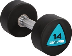 Livepro LP8002 14 kg Poliüretan Dambıl