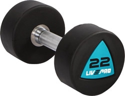 Livepro LP8002 22 kg Poliüretan Dambıl