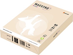 Maestro A4 80 gr 500 Yaprak Krem Renkli Fotokopi Kağıdı