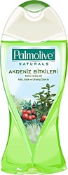 Palmolive Akdeniz Bitkileri Yeşil 500 ml Duş Jeli