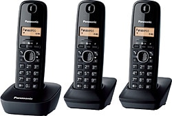 Panasonic KX-TG1613 3 Ahizeli Telsiz Telefon