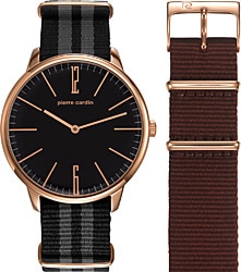 Pierre Cardin PC106991F16 Erkek Kol Saati