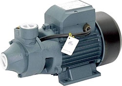 Rain Pump QB60 Santrifüj Pompa