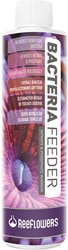 ReeFlowers Bacteria Feeder 85 ml Bakteri Besleyici