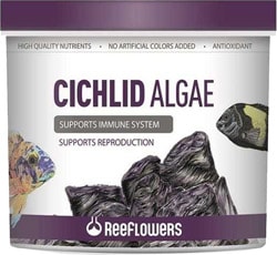 ReeFlowers Cichlid Algae 8 lt Balık Yemi