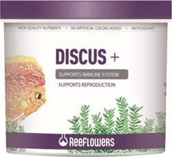 ReeFlowers Discus + 250 ml Balık Yemi