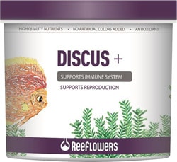ReeFlowers Discus + 500 ml Balık Yemi