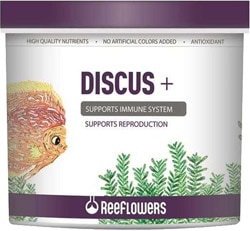 ReeFlowers Discus + 8 lt Balık Yemi