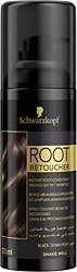 Root Retoucher Saç Dipleri için Kapatıcı Siyah 120 ml Sprey Saç Boyası