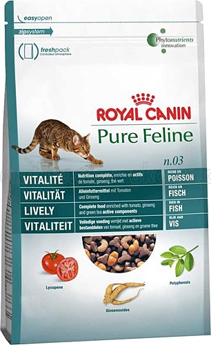 hills kidney food for cats