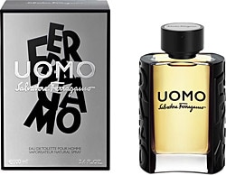 Salvatore Ferragamo Uomo EDT 100 ml Erkek Parfüm