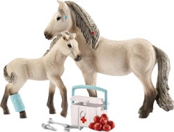 Schleich Hannah'ın İlk Yardım Seti 42430