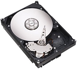 Seagate Barracuda 160 GB ST3160815AS Hard Disk