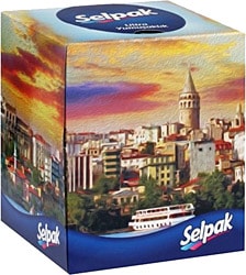 Selpak Butik Kutu Mendil 48'li