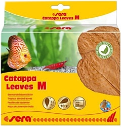 Sera Catappa Yaprağı M 18 cm 10'lu