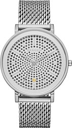 Skagen SKW2446 Kadın Kol Saati