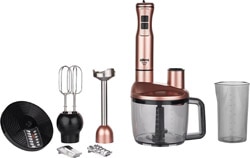 Stilevs Kendo Pro 1500 W Rose Blender Seti