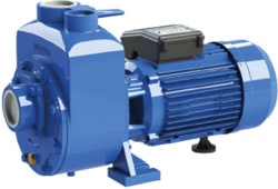 Sumak DSMT220/2 380 V Santrifüj Pompa