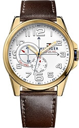 Tommy Hilfiger TH1791003 Erkek Kol Saati
