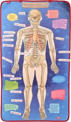 Tox İskelet Sistemi Keçe Duvar Panosu