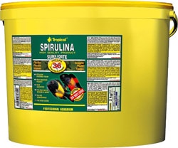 Tropical Spirulina Super Forte 11 lt / 2 kg Balık Yemi