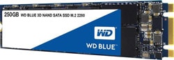 Western Digital Blue WDS250G2B0B SATA 3.0 250 GB M.2 SSD
