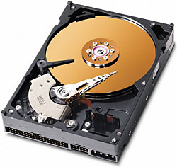 Western Digital Caviar Blue 160 GB WD1600AAJS Hard Disk