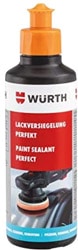Würth 250 gr Perfect Boya Koruma