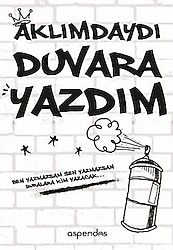 Aklımdaydı Duvara Yazdım - Gökçe Soysal