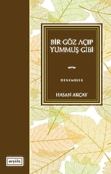 Bir Göz Açıp Yummuş Gibi - Hasan Akçay