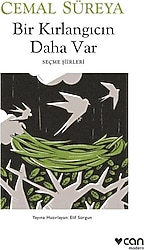 Bir Kırlangıcın Daha Var - Cemal Süreya