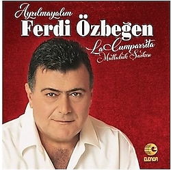 Ferdi Özbeğen - Ayrılmayalım Plak