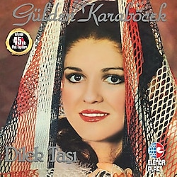 Gülden Karaböcek - Dilek Taşı Plak