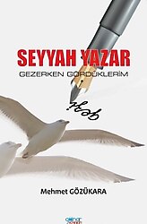 Seyyah Yazar - Gezerken Gördüklerim